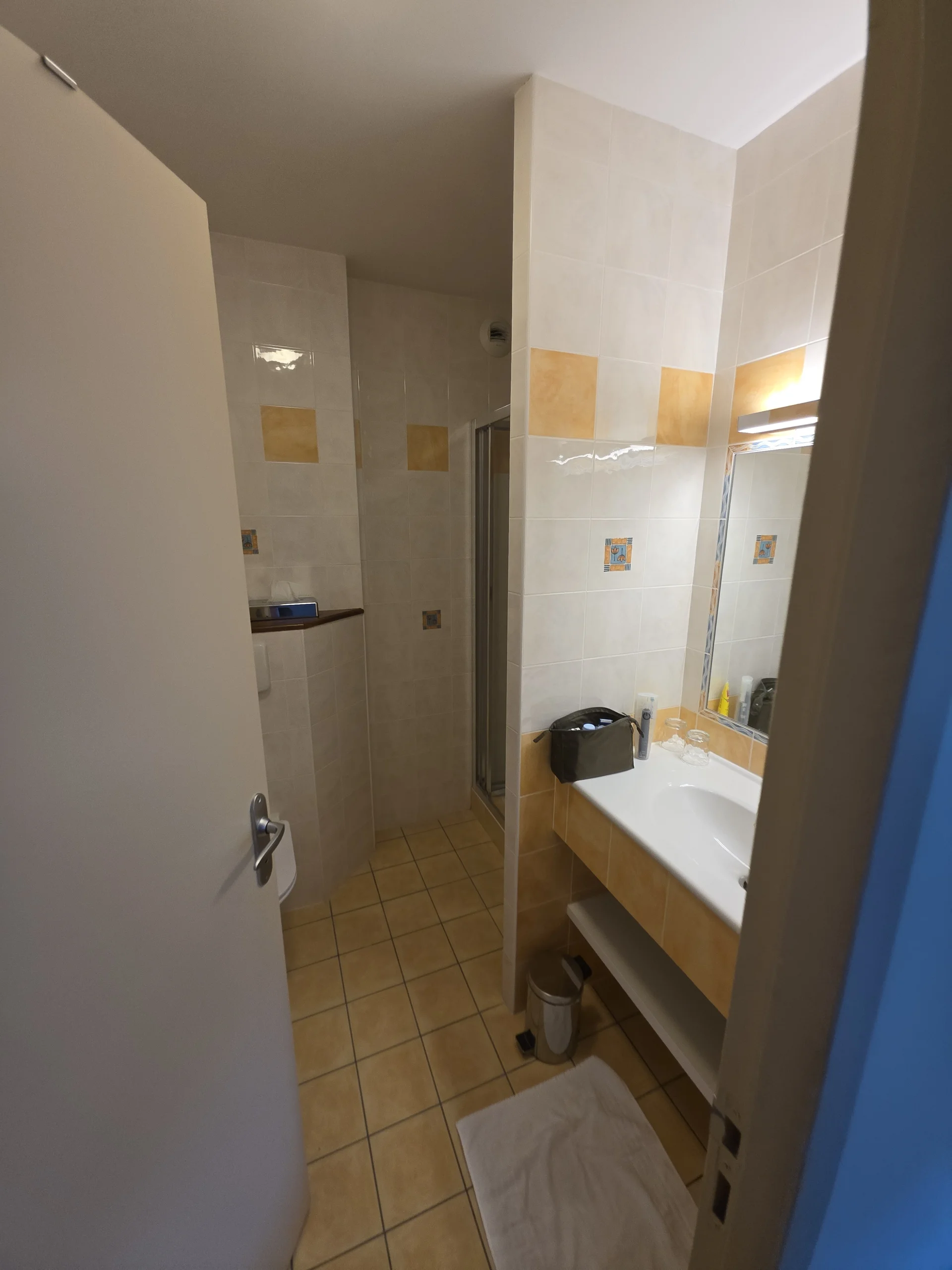 Helles Badezimmer mit Dusche und Waschtisch im Hotel Le Lion d’Or